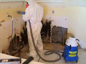 Discount Mold Removal Of Henderson